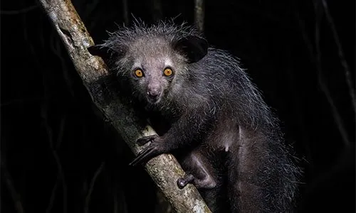 Madagaskaro ekspedicijos akimirka 7
