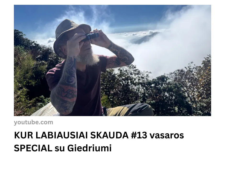 Straipsnis apie Giedrių (11)