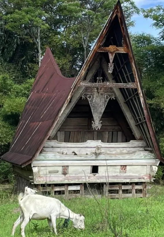 Sumatros ir Mentawai ekspedicijos akimirka 3