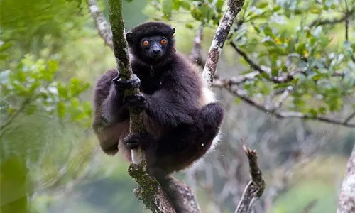 Madagaskaro ekspedicijos akimirka 20