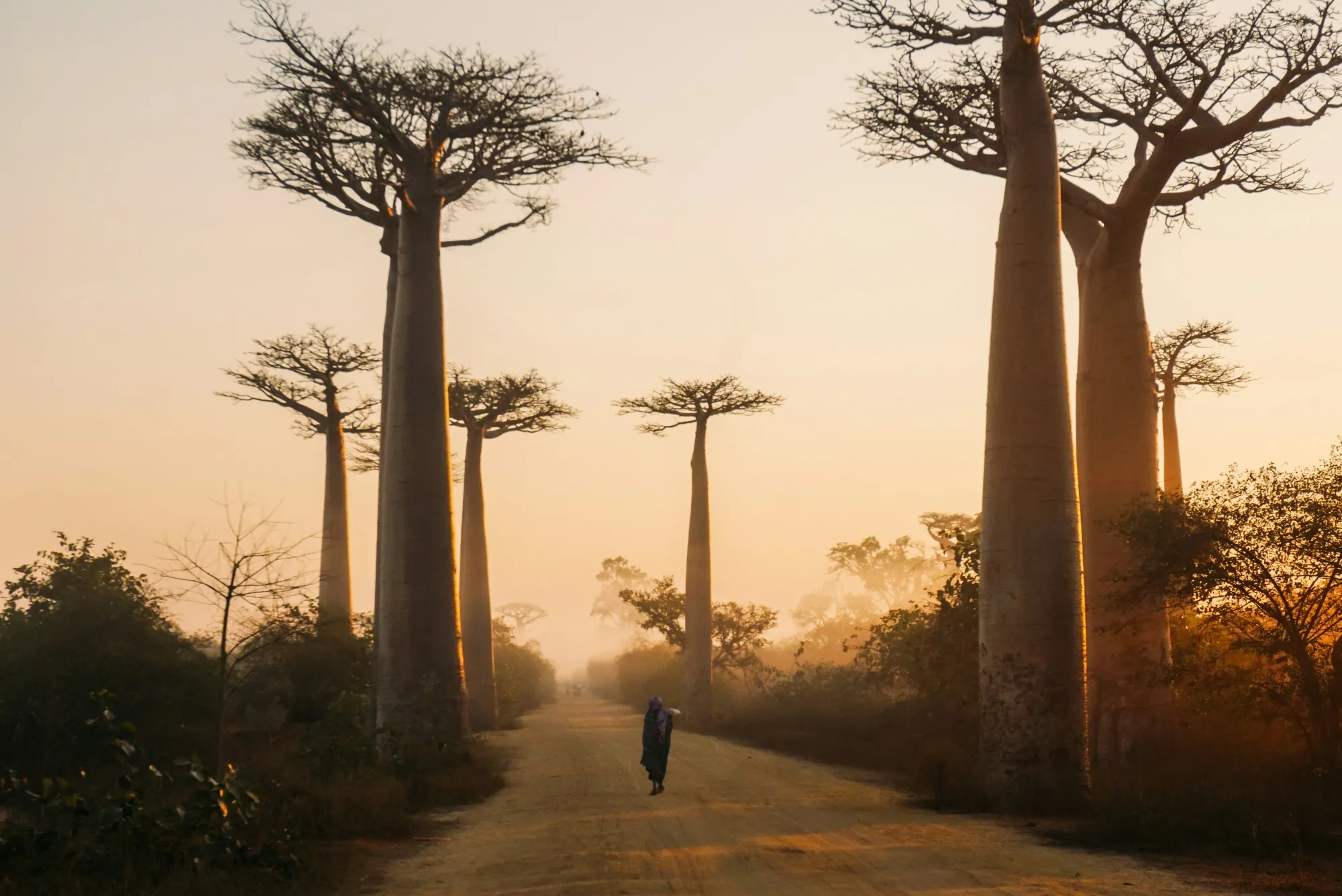 Madagaskaro ekspedicijos akimirka 4