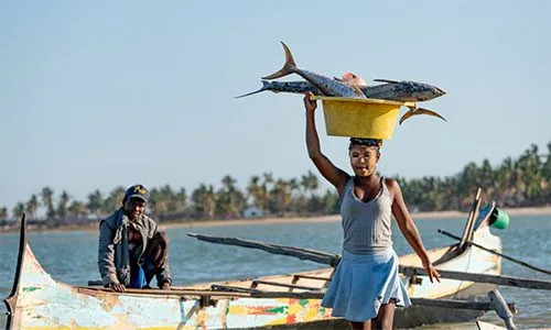 Madagaskaro ekspedicijos akimirka 8